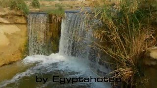 EGYPT 791 -  WADI EL RAYAN - (by Egyptahotep)