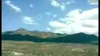 Neil Young - Thrasher