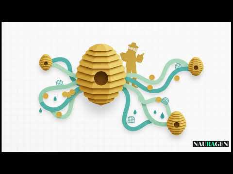 Financement par carte cashback Desjardins