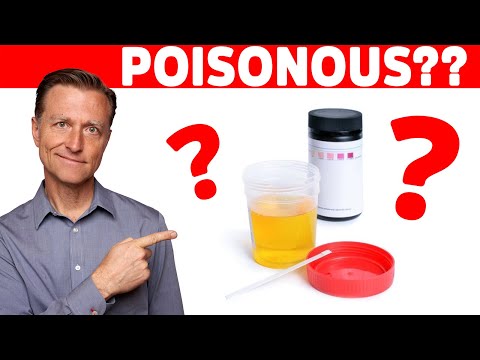 What is a Ketone Explained By Dr Berg