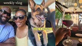 she's here!, gardening updates, wine festival, and more | Dee's Vlogs