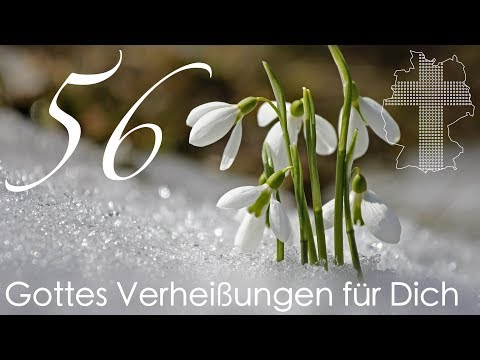 Gottes Verheißungen für Dich - Petrus 4,14 | Videokalender 56/365 - Deutschland braucht JESUS