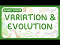 GCSE Biology Variation And Evolution 2026 27 Exams