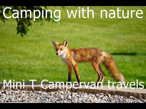 Transit Connect Mini-T Campervan Lifestyle Video Tour