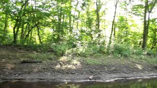 preview picture of video 'Rancocas Creek, New Jersey'