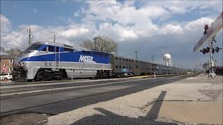 A visit in April 2023 to Franklin Park