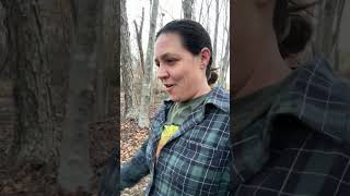 Find your peace for the day 🕊️