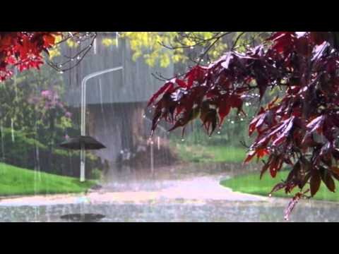 POTOCARI 1995 - 2014