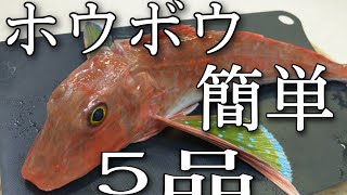ホウボウ の 煮付け برنامج تنزيل Mp3 الأكثر شعبية على الإنترنت ホウボウ の 煮付け برنامج تنزيل Mp3 الأكثر شعبية على الإنترنت