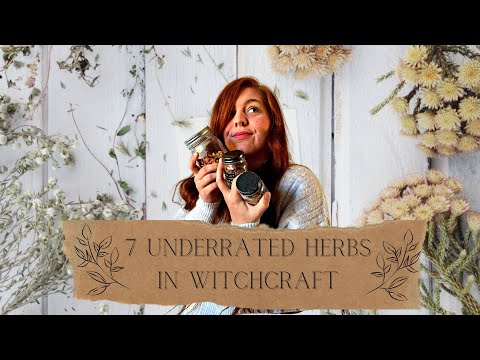 Underrated Herbs In Witchcraft