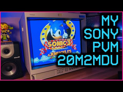 I FINALLY got a PVM! 😱⁠ #Shorts