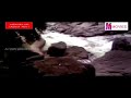Then Mullapoove Maarikkar Mukile നീയോ ഞാനോ Malayalam Movie Song