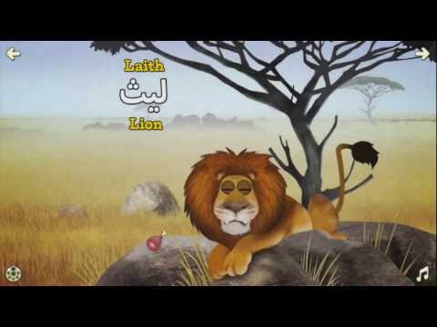 Appy Animals Arabic Video