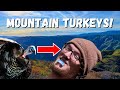 Insane Mountain Turkey Hunt Turkeys Drive Us Crazy Idaho Turkey Hunting