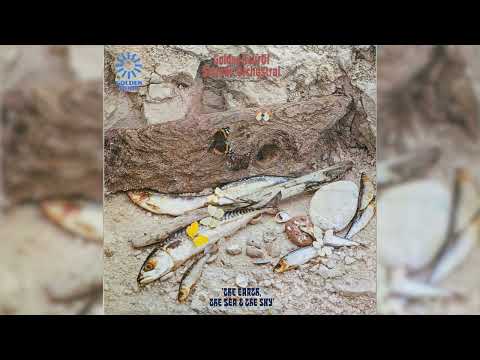 Golden Hour Of Sounds Orchestral - The Earth, The Sea & The Sky (Full Album) #jazz #easylistening