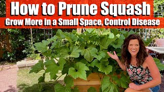 How to Prune Squash to Grow More in a Small Space, & Control Powdery Mildew