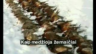 preview picture of video 'Plungė„Kaip medžioja žemaičiai. DVD FILMAS'