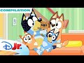 BLUEY MINISODE COMPILATION Drums Browny Bear MORE Disneyjr X BlueyOfficialChannel