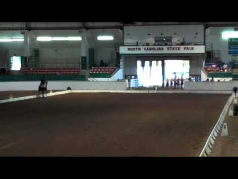 2011 Raleigh CDI Young Rider Freestyle