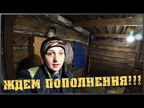Деревенские будни / Что будем сажать / Ждём пополнения / Семья в деревне