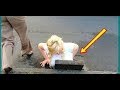 AFV 8 Really Funny And Cure Skunk Videos