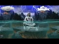 Om Namo Shivay Status
