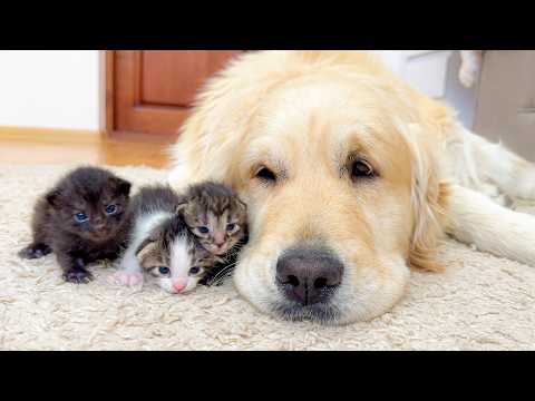 YouTube 썸네일
