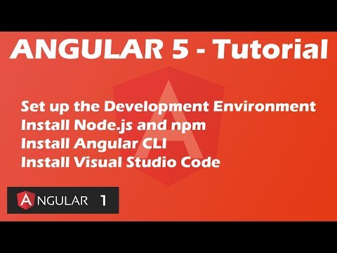 Angular 5 Tutorial Development Environment Install Node Jsnpmangular Clivisual Studio Code 1