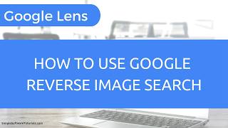 How to Use Google Reverse Image Search (Google Lens)
