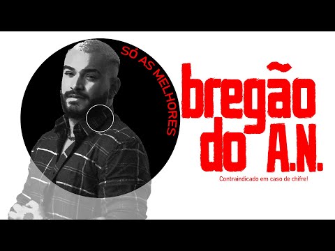 Bregão do Alvaro Neto - Ao vivo em Campo Maior-PI / Arrocha / Seresta