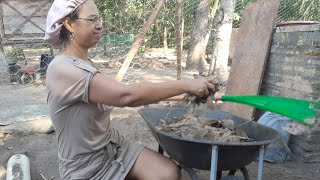 Mais um blog de quintal 