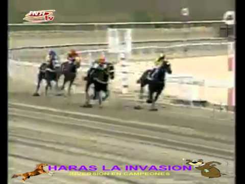 LA RINCONADA 5 CARRERA DOMINGO 15 DE FEBRERO DEL 2015