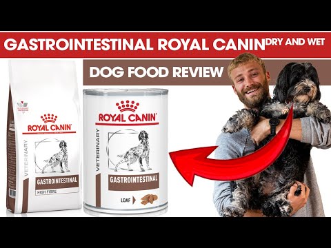 Gastrointestinal Royal Canin Dry and Wet Dog Food Review - The Dog Nutritionist