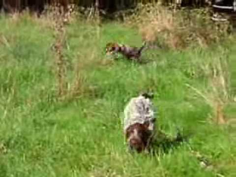 Détente et apprentissage du rappel