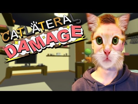 Catlateral Damage | WORLD'S GREATEST CAT