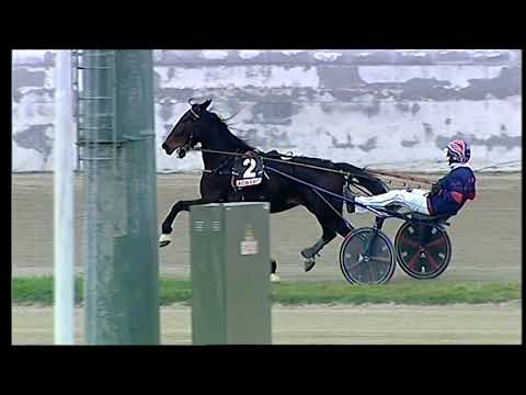 Napoli Trotto 14/03/2021 - 2ª corsa