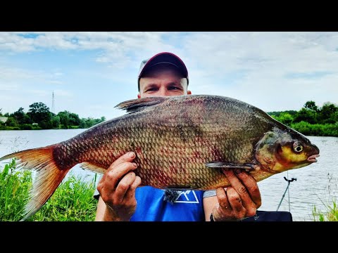 416 HORSE FISHING IN A NEW PLACE | FEEDER ON THE ODRA RIVER