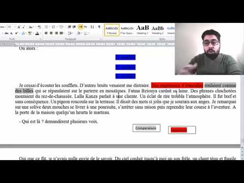 Aperçu de la vidéo
