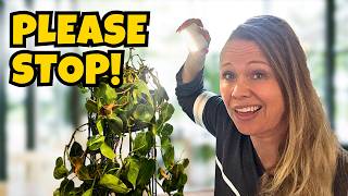 7 Plant “Rules” the Houseplant Industry Needs You to Believe!