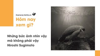 [Tuần này xem ảnh của ai?] Những bức ảnh nhìn vậy mà không phải vậy củ