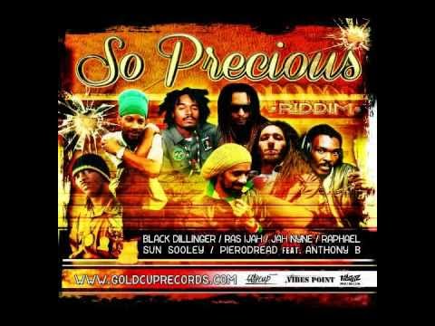 So Precious Riddim - Flowin Vibes Official Mix (Vibes Point/Goldcup Records)