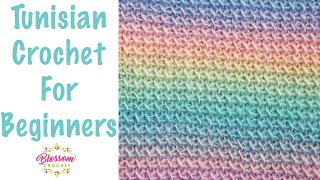 Tunisian Crochet for Beginners - ONE row repeat, for scarves and blankets. Tunisian Simple Stitch