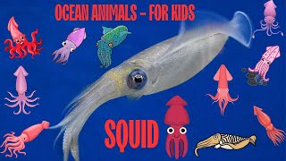 Ocean Animal Squid facts for kids | Sea Animal Squid | children's sea creatures gameplay video by gkibisu, 2:47 duration