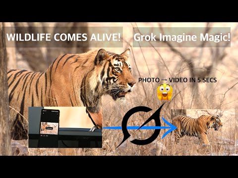 I Turned a STILL TIGER Photo into a ROARING VIDEO with Grok AI! |Mind-Blowing Result by Grok Imagine