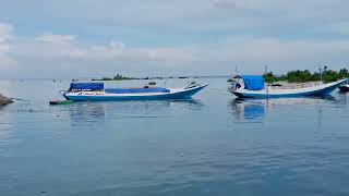 Download lagu PULAU IDAMAN (PULAU TAI MANU ) mp3 Download lagu PULAU IDAMAN (PULAU TAI MANU ) mp3