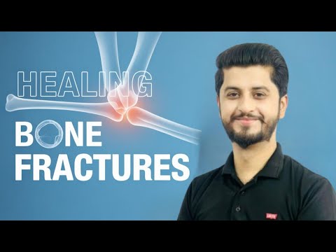Repair of Fracture Bones | Biology 2nd Year | Skeletal System | NBF Book | Easy Urdu Explanation