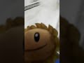 Sunflower Looking At Zoe S Belly Button Being Tickled