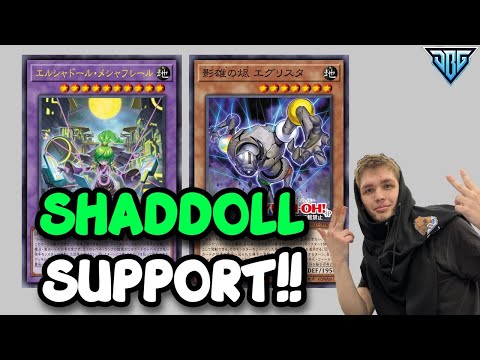 NEW SHADDOLL SUPPORT!! Is It Good???