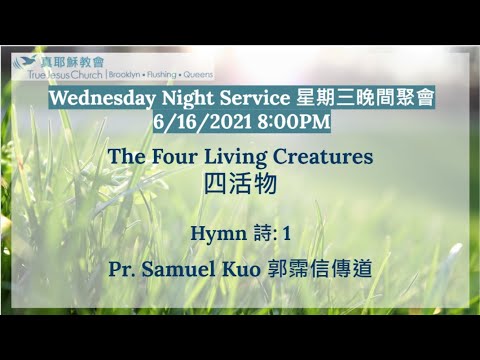 The Four Living Creatures 四活物 2021/6/16