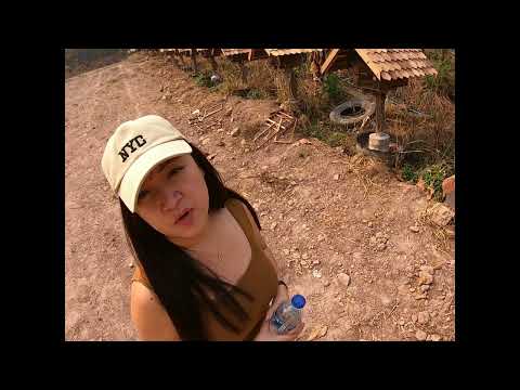 Cerana Beekeeping as a profession in Thailand 1/4